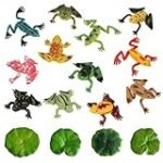 Rana Colores