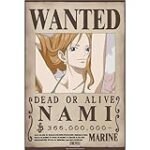 Poster Wanted Nami