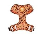 Arnes Para Perros Originales