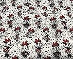 Tela Minnie Mouse