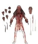 Feral Predator